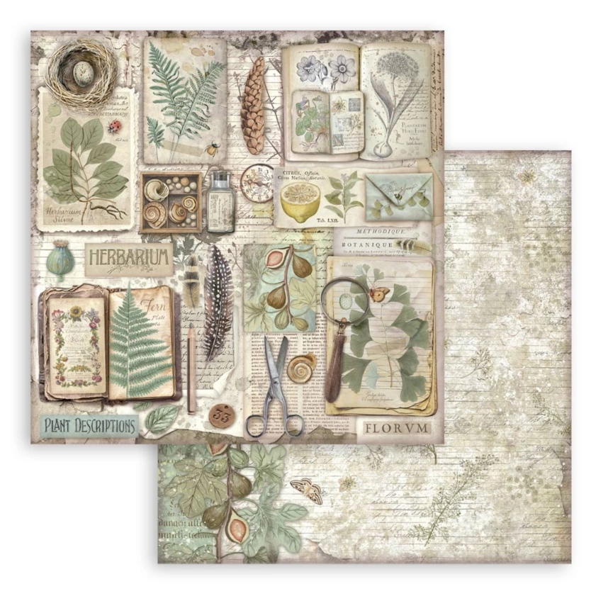 Set_de_scrapbooking_Herbarium_Silvae_7